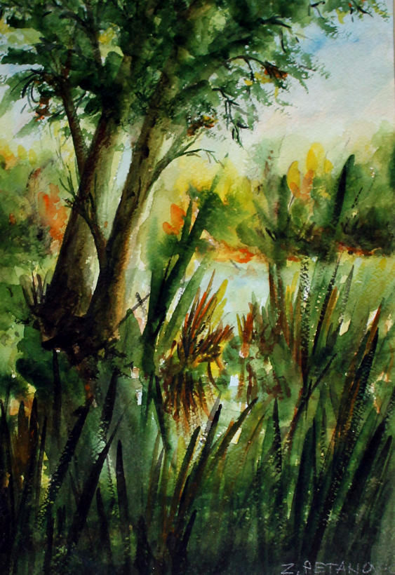 Zvonko Petanović Slavonski Brod